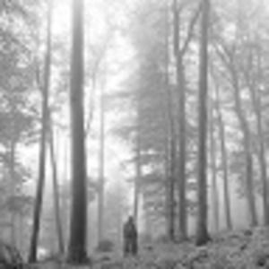 Meet your Posher, Ana banana